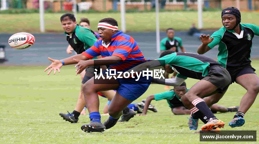 认识zoty中欧